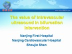 The value of Intravascular ultrasound in bifurcation intervention